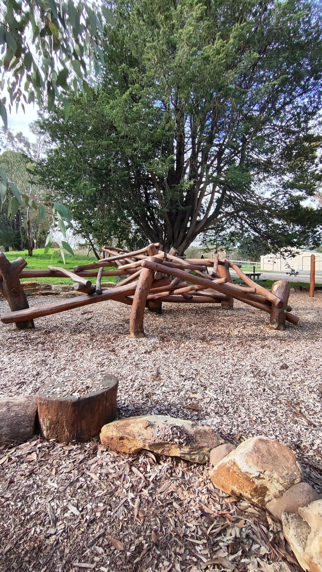 Nature Play Log Climbing Frame