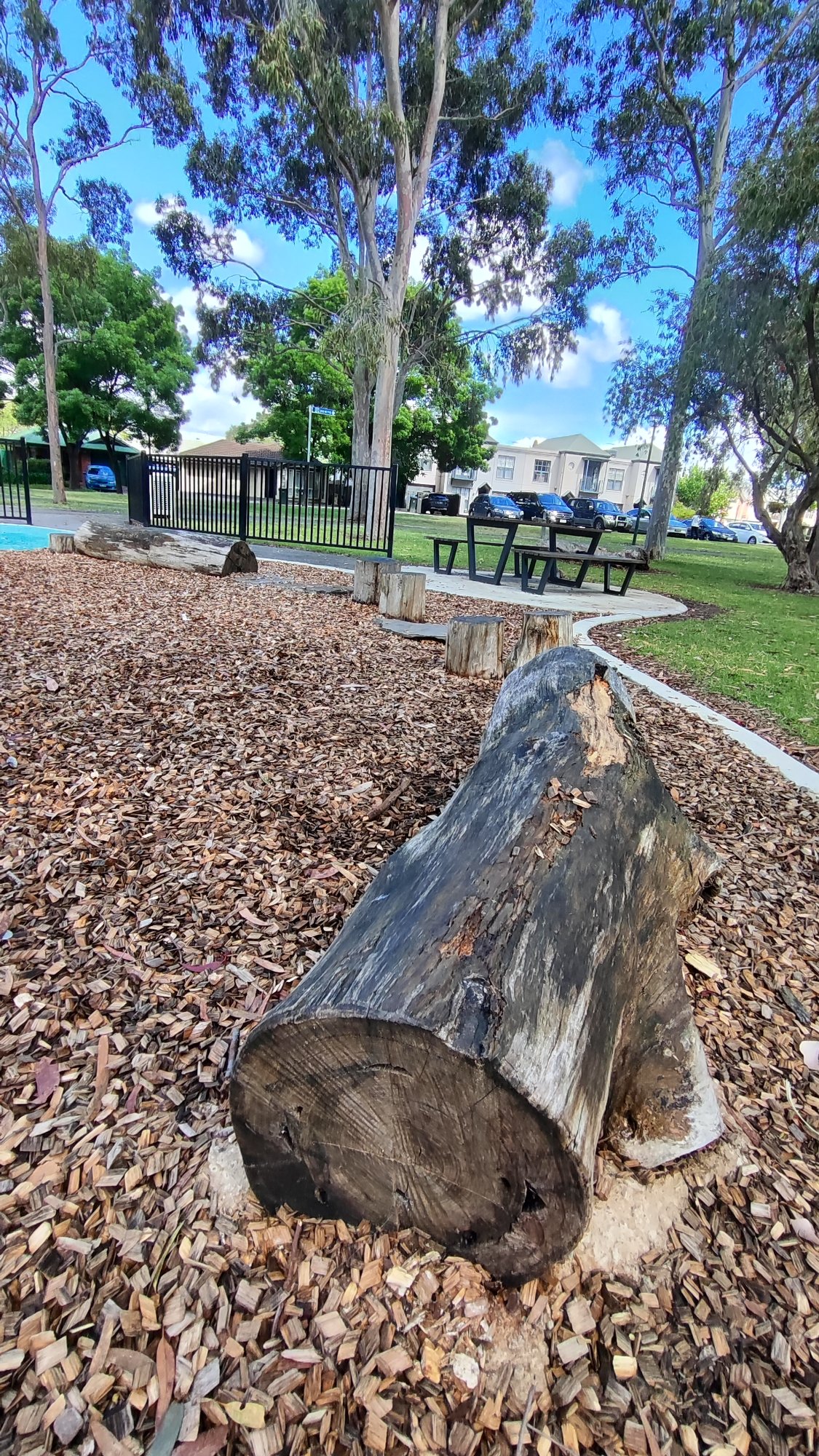 Nature Play Park with Logs and Picnic Area