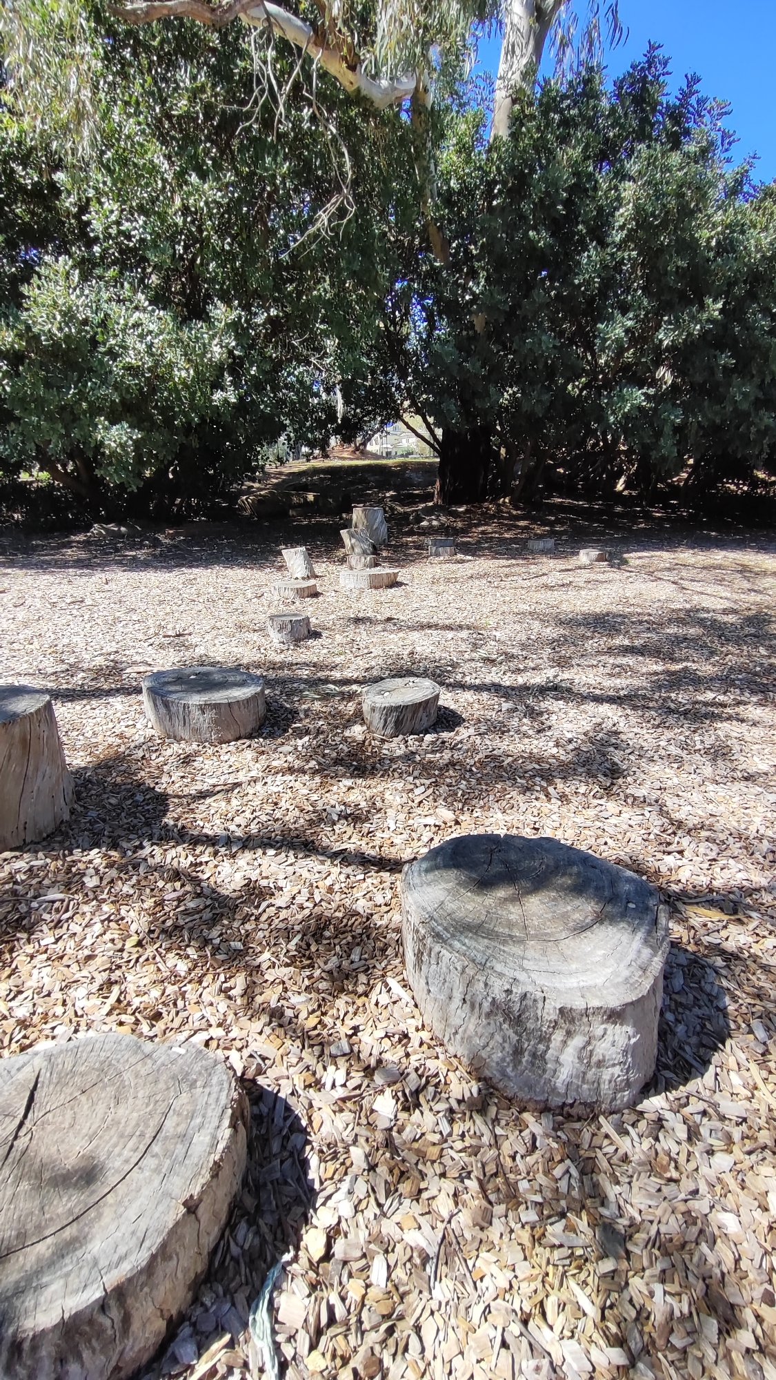Timber Cubby Playground photo