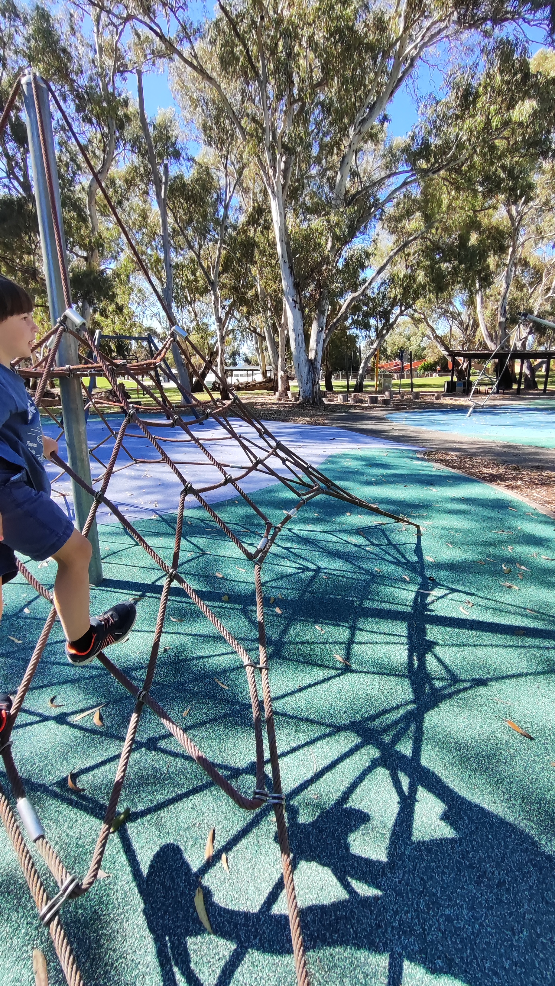 Playground in Leafy Park photo